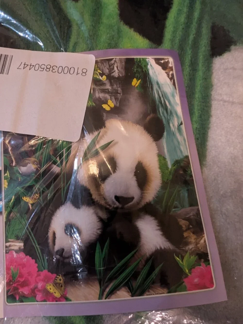 Dawhud Direct Precious Pandas - Plush Blanket for Bed, 50 x 60 Inches